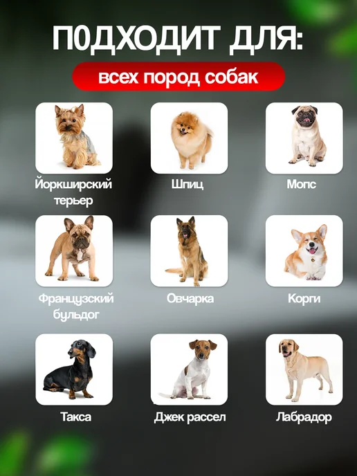 Tooth for tooth Игрушка для собак грейфер с пищалкой, фиолетовый, фото 5