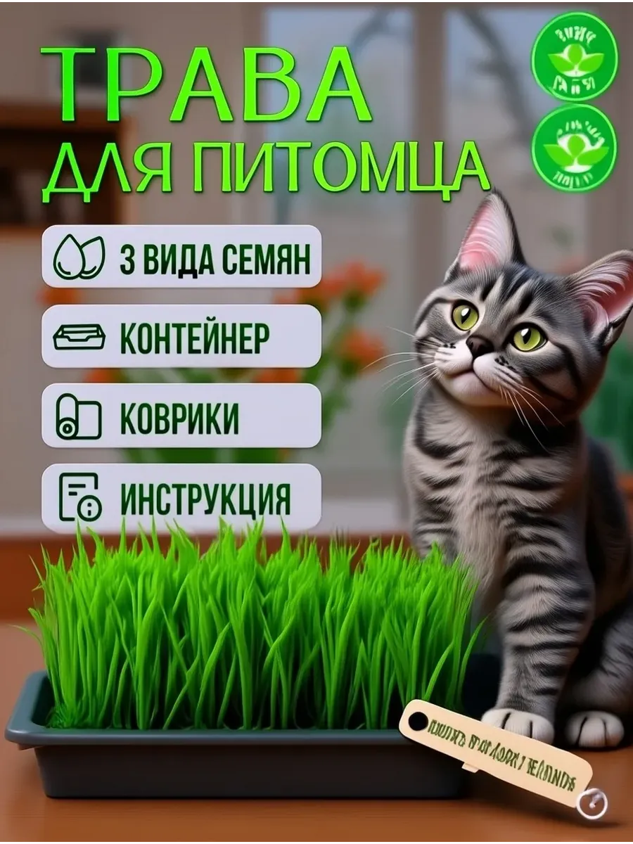 Трава для кошек. Набор для проращивания.