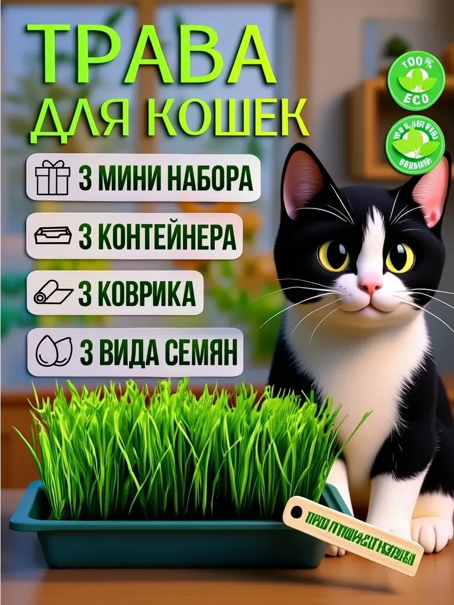 Трава для кошек. Набор.