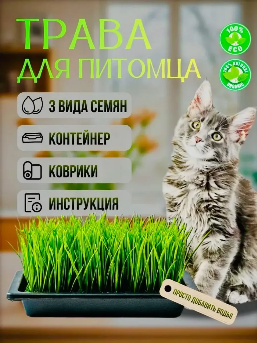 Трава для кошек. Набор для проращивания.