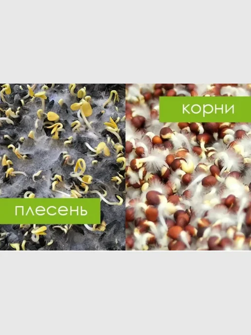 Трава для кошек. Набор для проращивания, в упаковке 300 г, фото 6