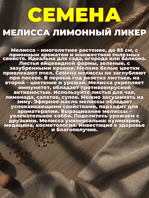 ГАВРИШ Семена Мелисса Лимонный ликер – Наслаждение ароматом, вариант, фото 2