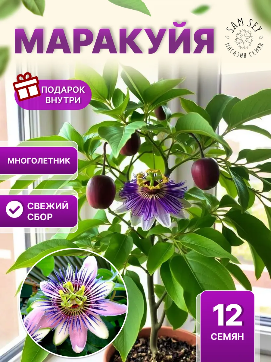 Семена Маракуйя - 12 шт
