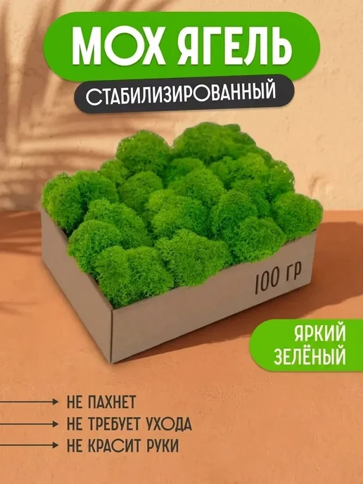 Исландский мох декоративный Тундровый стабилизированный мох для гостиной, вариант