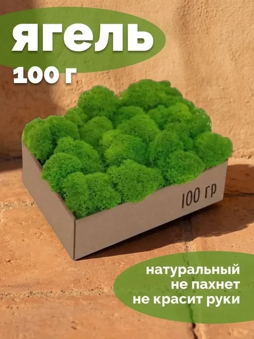 Панно настенное со мхом декор Пропитанный стабилизированный мох для фотозоны, вариант