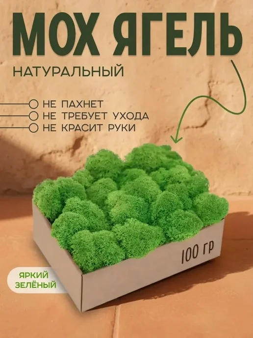 Дерево мох стабилизированный Подготовленный стабилизированный мох в подарок коллеге, вариант