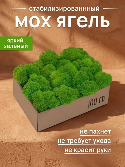 Панно из ягеля Многофункциональный стабилизированный мох для прихожей, вариант