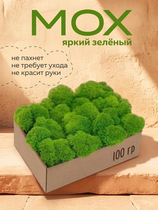 Вечный мох Пушистый стабилизированный мох на новоселье, вариант