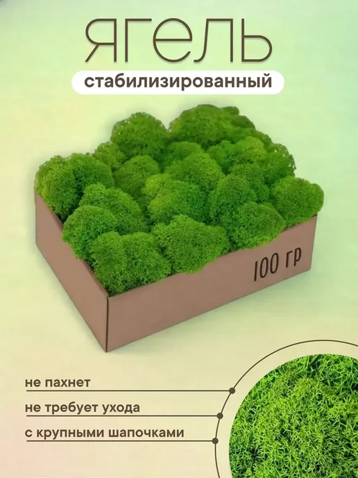 Декоративный мох на стену картина Мох насыщенный для офисного менеджера координатору 500гр, 500 г