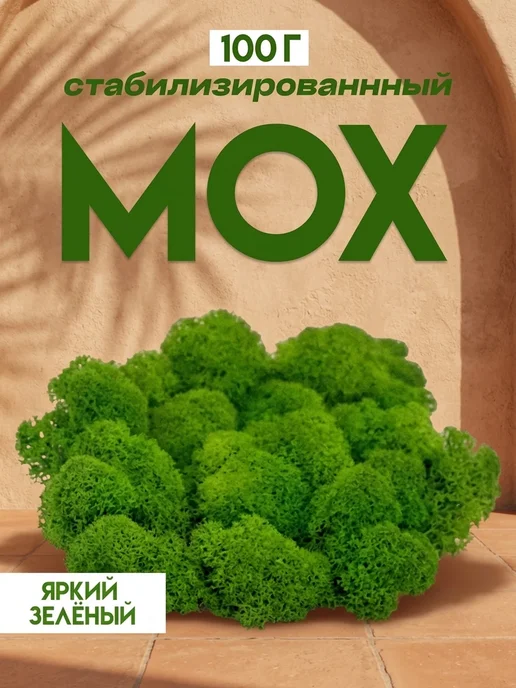 Панно из ягеля Неизменный стабилизированный мох для коллекции, вариант