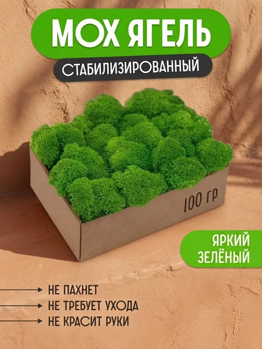 Панно мох стабилизированный 5 кг стабилизированный мох — подарок без повода, 5 кг