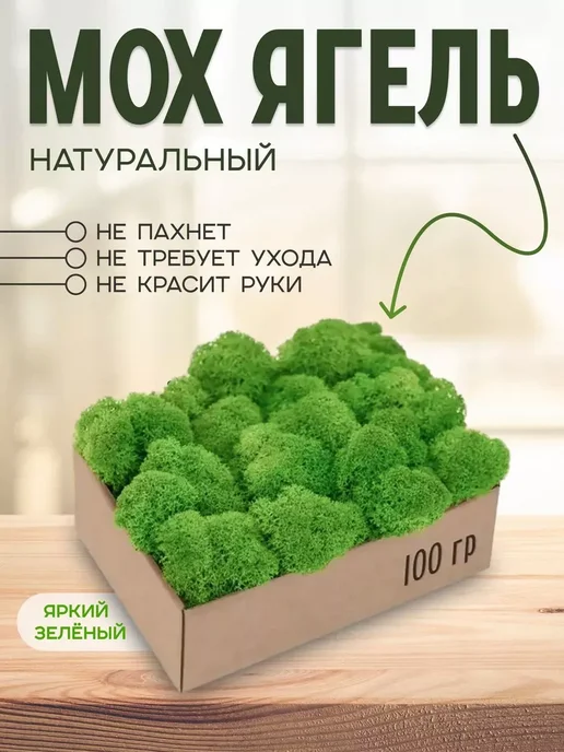 Пано со мхом Глицеринизированный стабилизированный мох для офиса, вариант