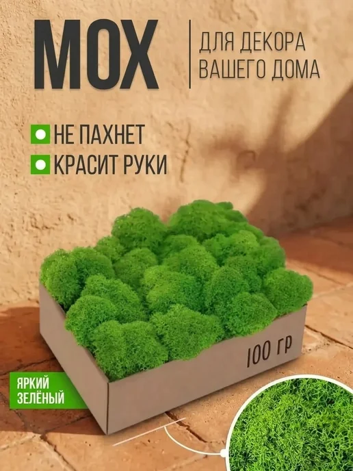 Исландский мох декоративный Яркий стабилизированный мох в прихожую, вариант