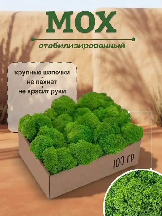 Исландский мох декоративный Тундровый стабилизированный мох на рабочий стол, вариант