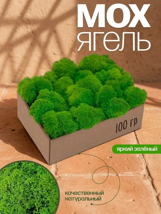 Пано со мхом Многолетний стабилизированный мох для кухни, к празднику, вариант