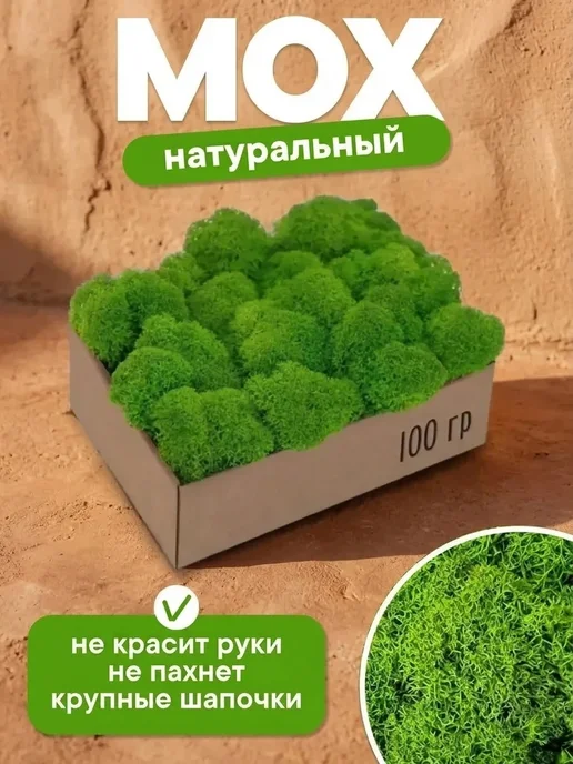 Дерево мох стабилизированный Исландский ягель стабилизированный мох для дачи, вариант