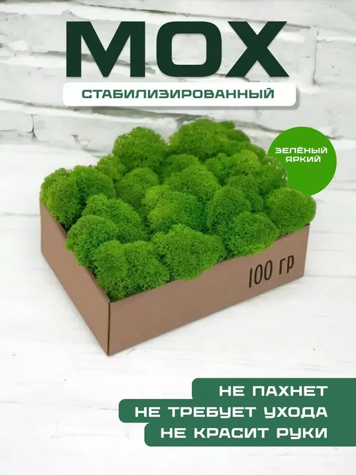 Декоративные мох Мох обработанный для гастро-рынка кейтеринг 10кг фитодизайн, 10 кг