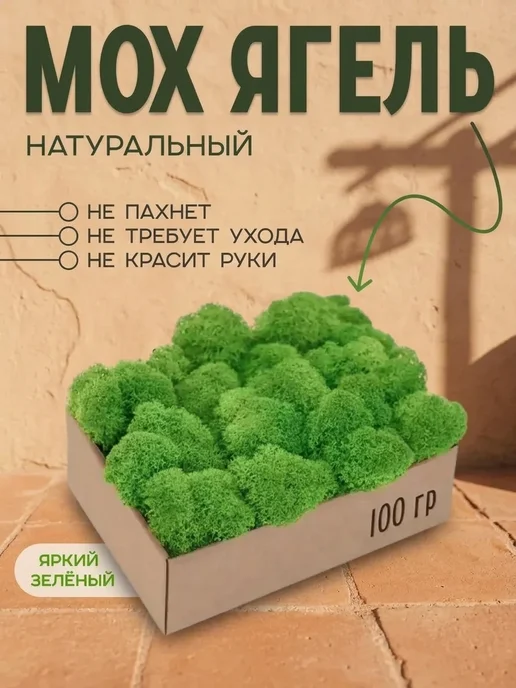 Панно из мха Невянущий стабилизированный мох для детской, для коллекции, вариант