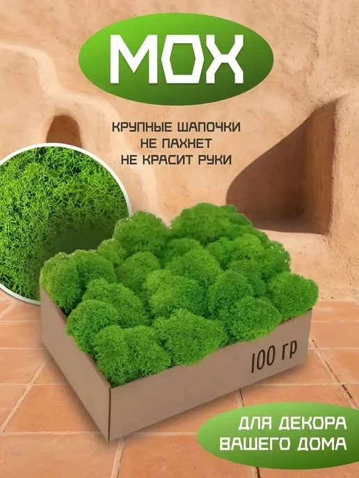 Декоративный мох для творчества Естественный стабилизированный мох для детской, вариант