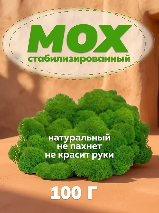 Декоративные мох Яркий стабилизированный мох на новоселье, вариант