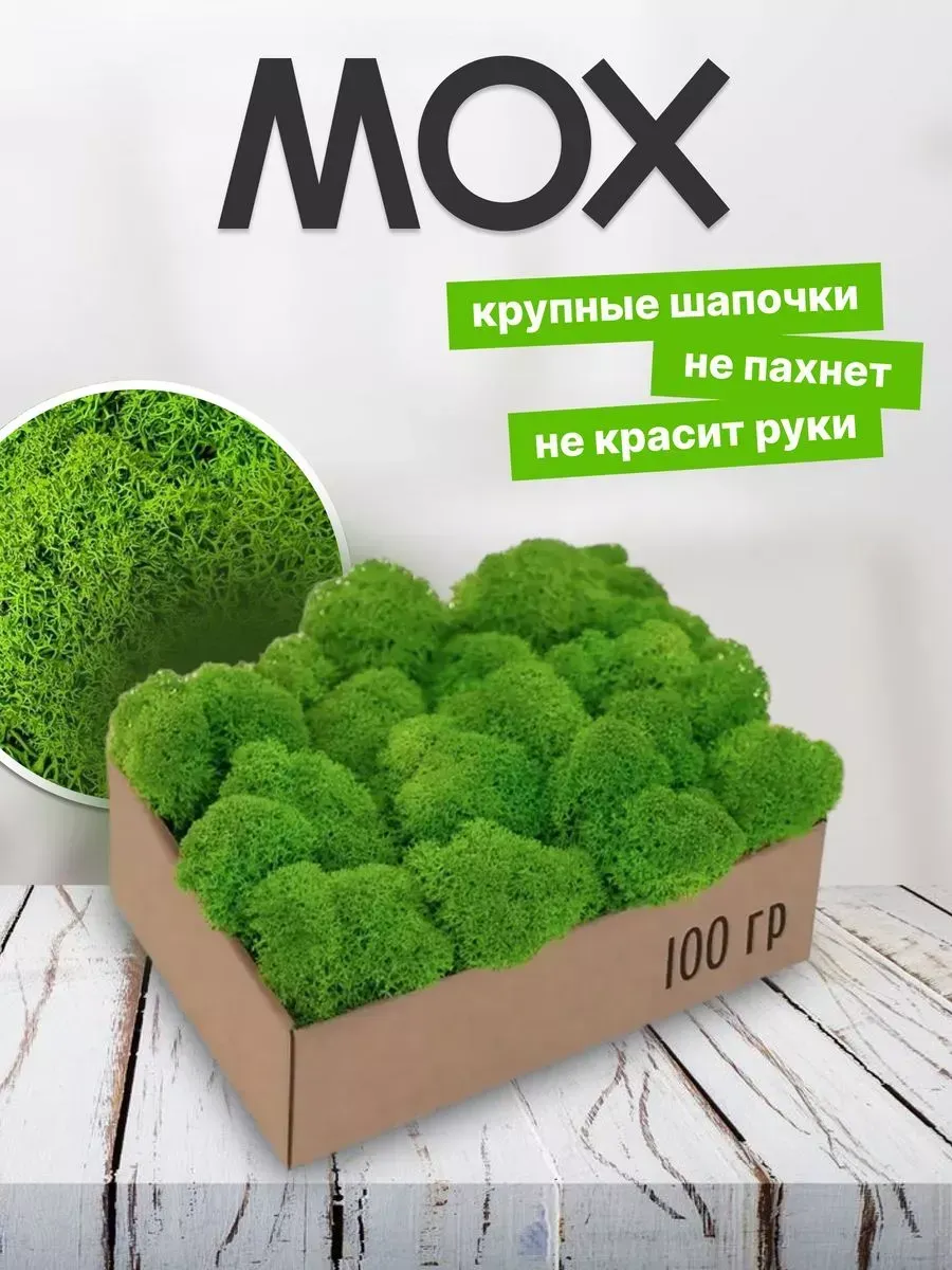 Мох многолетний для флорариума террариума палюдариума 100гр