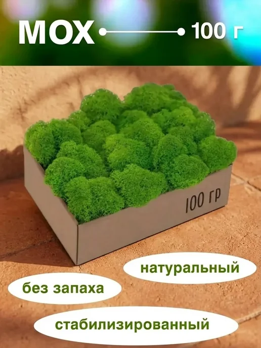 Мох стабилизированный в рамке 1 кг стабилизированный мох в подарок девушке, 1 кг