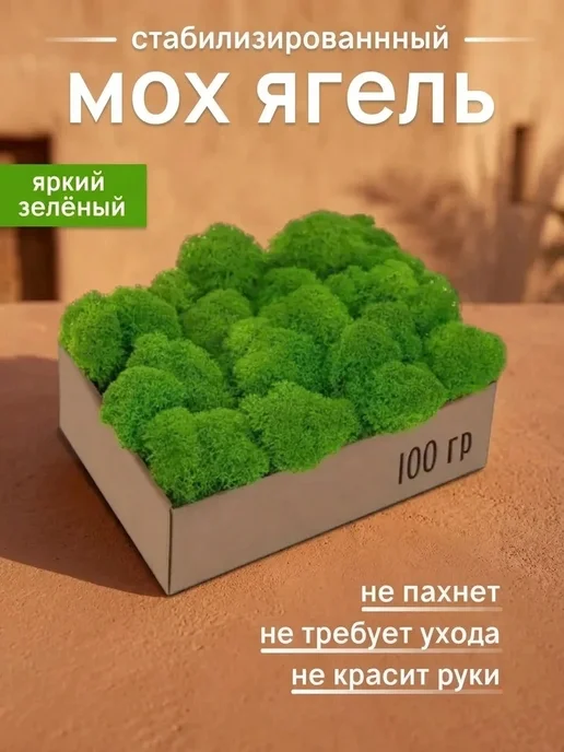 Стабилизированный мох картины Естественный стабилизированный мох для дачи, вариант