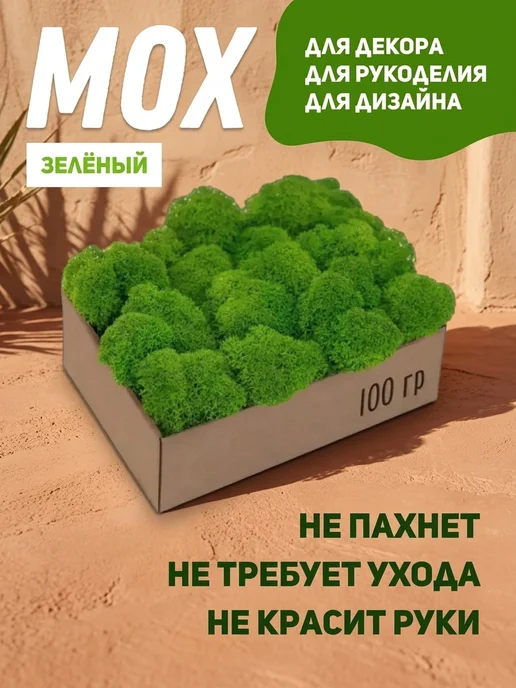 Исландский мох декоративный Неизменный стабилизированный мох для офиса, вариант