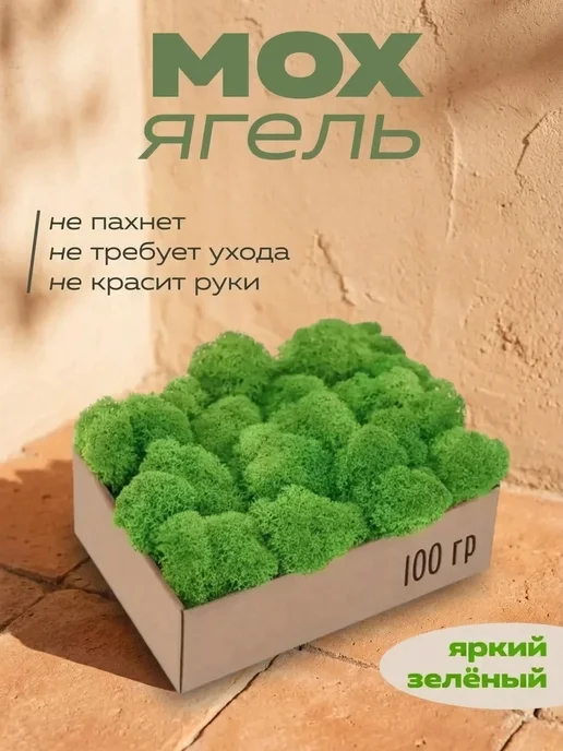 Вечный мох Подарок на 8 марта — износостойкий стабилизированный мох, вариант