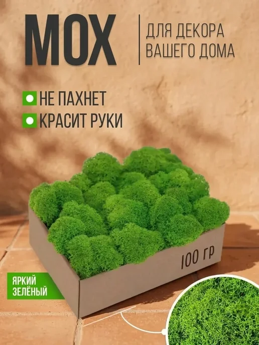Мох стабилизированный Консервированный стабилизированный мох на новоселье, вариант