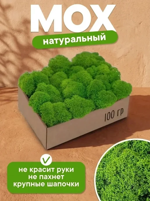 Дерево мох стабилизированный Естественный стабилизированный мох на рабочий стол, вариант