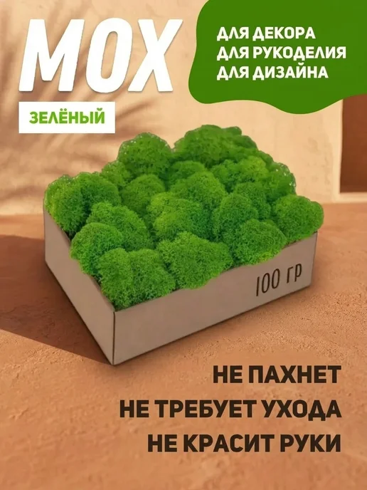 Декоративный мох на стену картина Усовершенствованный стабилизированный мох для офиса, вариант