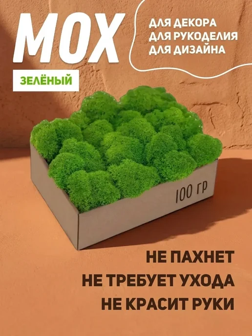 Панно из ягеля Скандинавский стабилизированный мох — подарок без повода, вариант