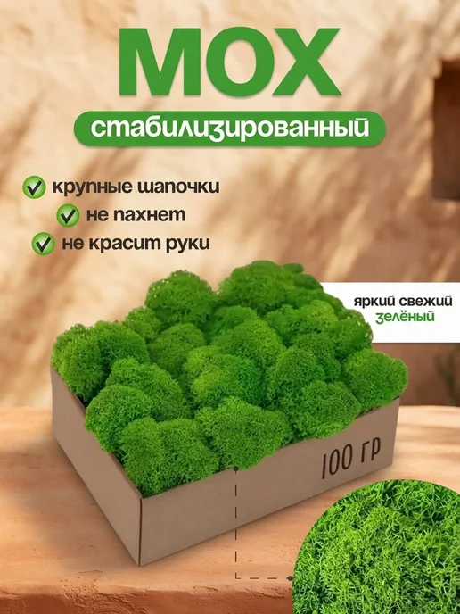 Стабилизированный мох картины Неизменный стабилизированный мох для гостиной, вариант