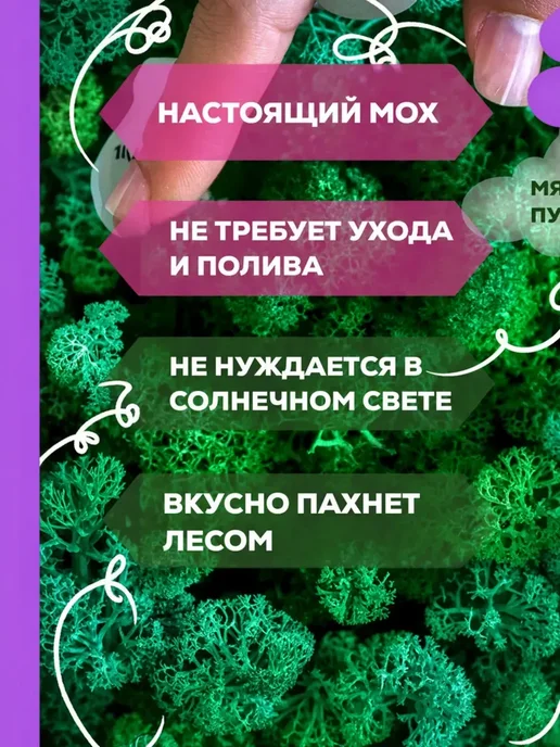 Декор для дома мох Подарок на день рождения — многолетний стабилизированный, вариант, фото 5