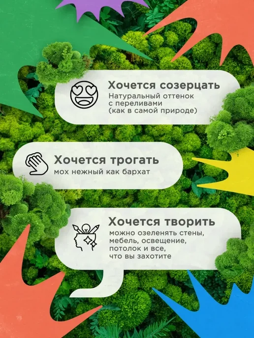 Декор для дома мох Подарок на день рождения — многолетний стабилизированный, вариант, фото 6