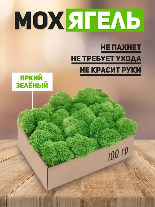 Декор для дома мох Мох сфагнум для бизнес образовательного коучу 100гр мох, 100 г