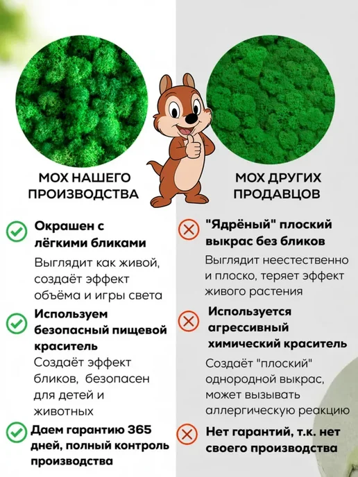 Декор для дома мох Мох сфагнум для бизнес образовательного коучу 100гр мох, 100 г, фото 6