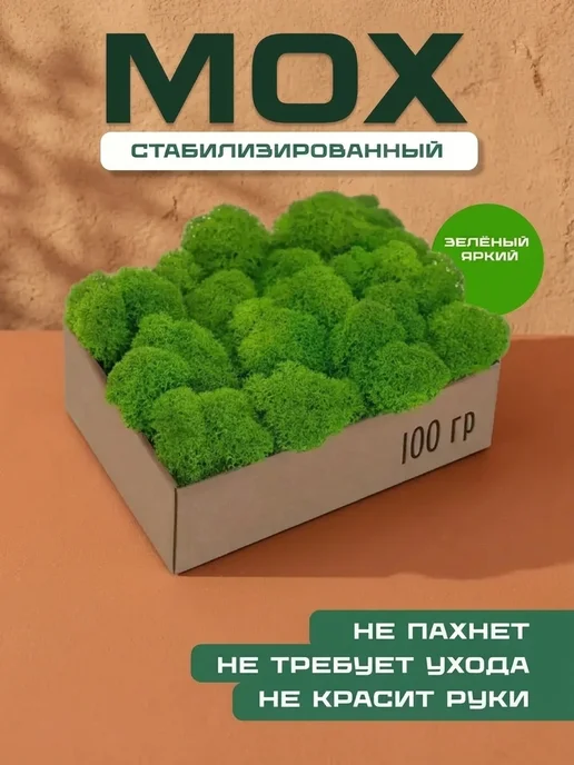Декор для дома мох Подарок на день рождения — сохраненный стабилизированный, вариант