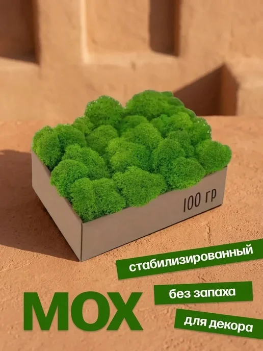 Декоративный мох на стену картина Износостойкий стабилизированный мох в подарок коллеге, вариант