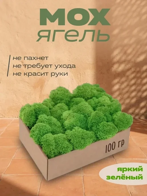 Мох декоративный в кашпо на стену Подарок на 8 марта — 100 г стабилизированный мох, 100 г