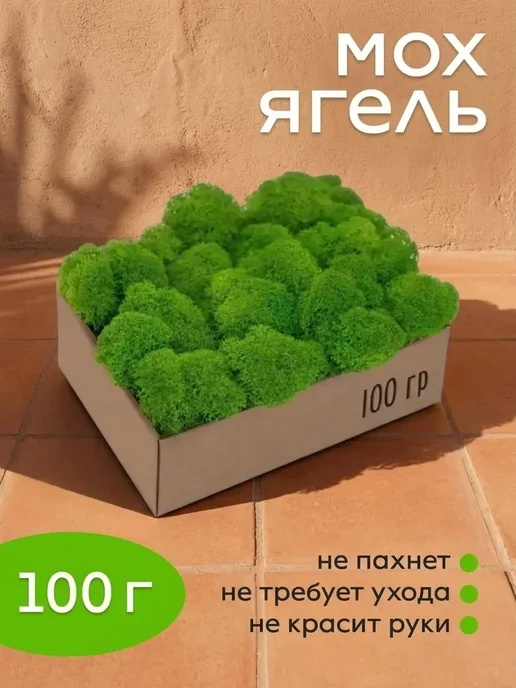 Панно из мха и дерева Исландский стабилизированный мох на лоджию, вариант