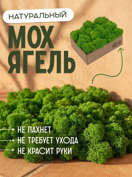 Декоративные мох Насыщенный стабилизированный мох на лоджию, вариант
