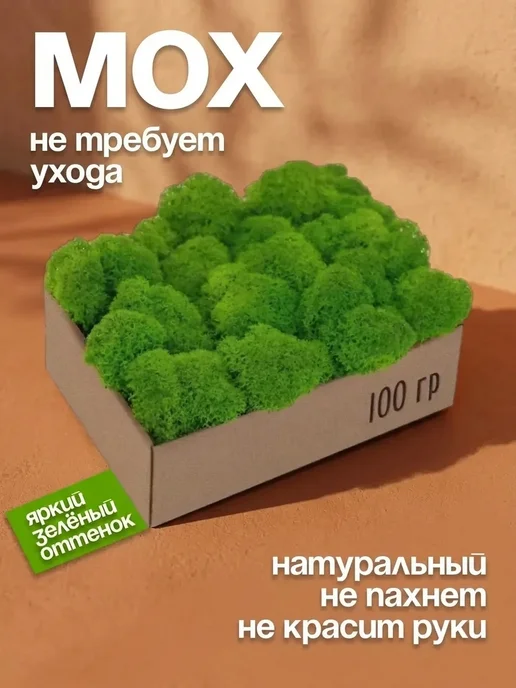 Декоративный мох для творчества Многолетний стабилизированный мох на туалетный столик, вариант