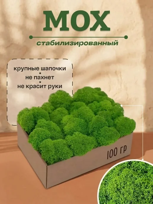 Панно настенное со мхом декор Сохраненный стабилизированный мох в подарок маме, вариант
