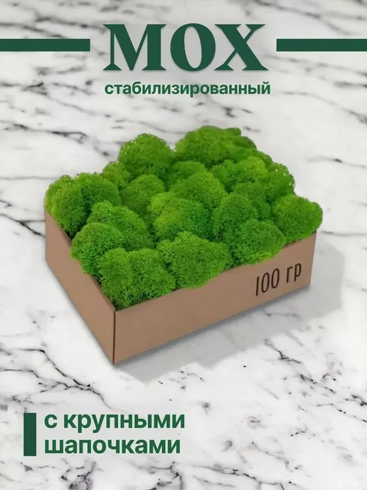 Стабилизированный мох на стену Мох многолетний для новогодних пасхальных вставки 100гр, 100 г
