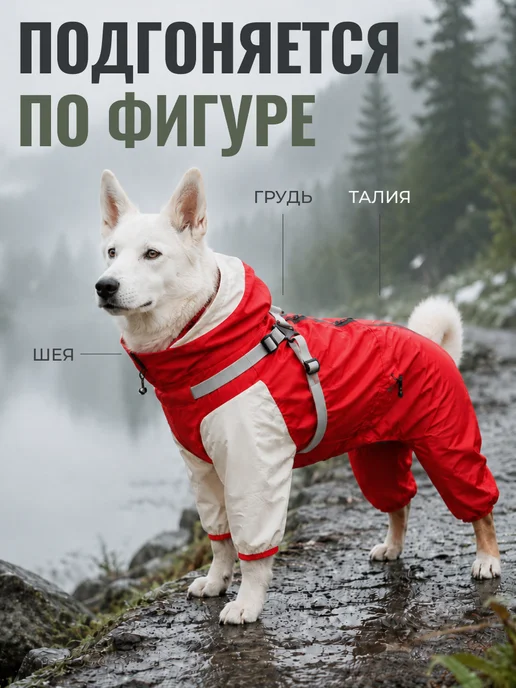 MiloPets Дождевик-комбинезон для собак средних и крупных пород, красный, фото 4