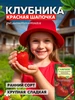 Семена Земляника Красная Шапочка ГАВРИШ 760778546 купить за 82 ₽ в интернет‑магазине Wildberries