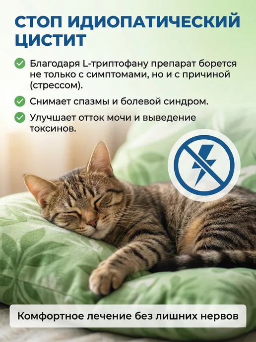 Таблетки от цистита для кошек и собак, 15 шт, 15 шт, фото 4