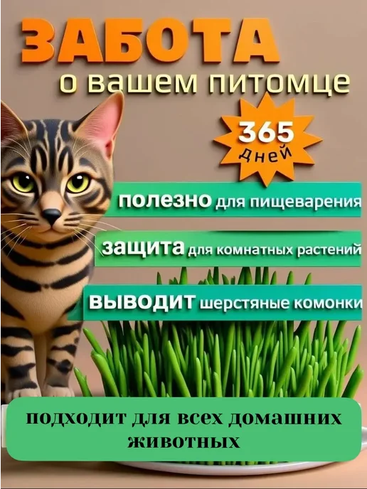 трава для кошек-для проращивания, вариант